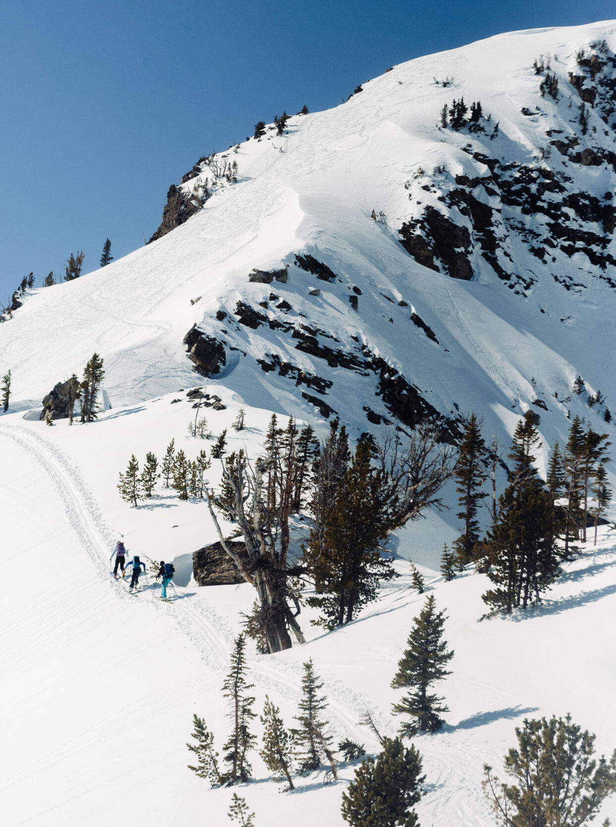 Earning their turns